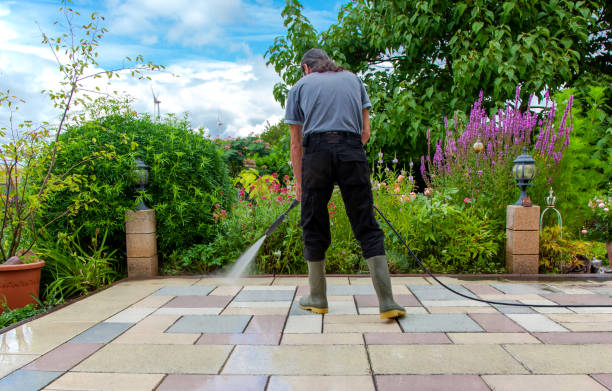 Best Pre-Holiday Cleaning  in Princeton Junction, NJ